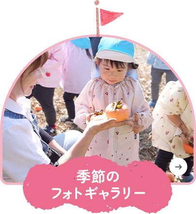 季節のフォトギャラリー